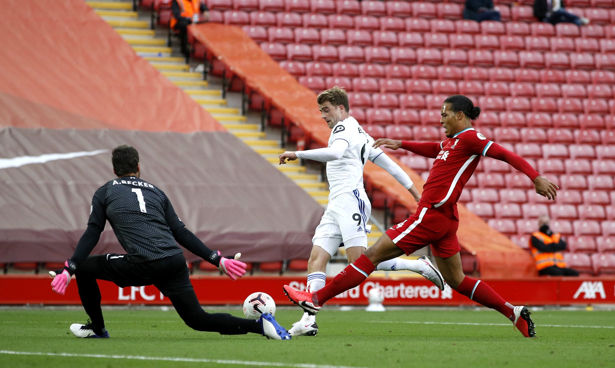 己的极限 己的极限